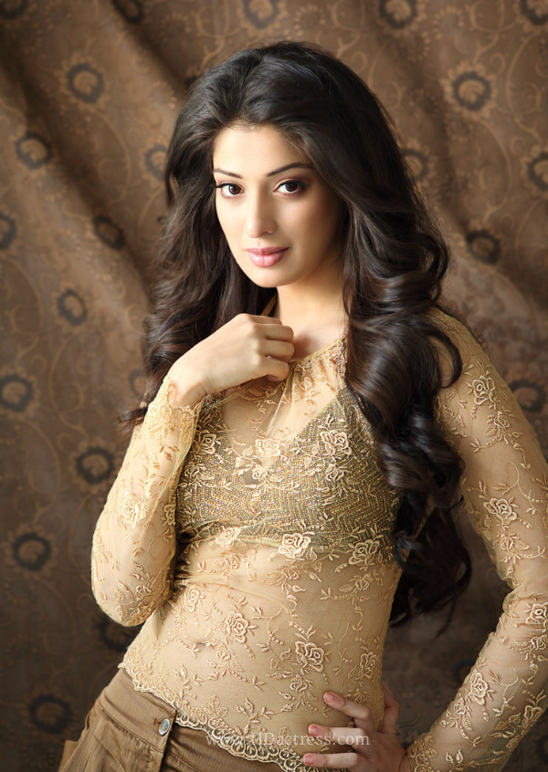 Lakshmi Rai Latest HQ Photoshoot Unseen Pics - Image 3 Lakshmi Rai Latest HQ Photoshoot Unseen Pics - Image 3