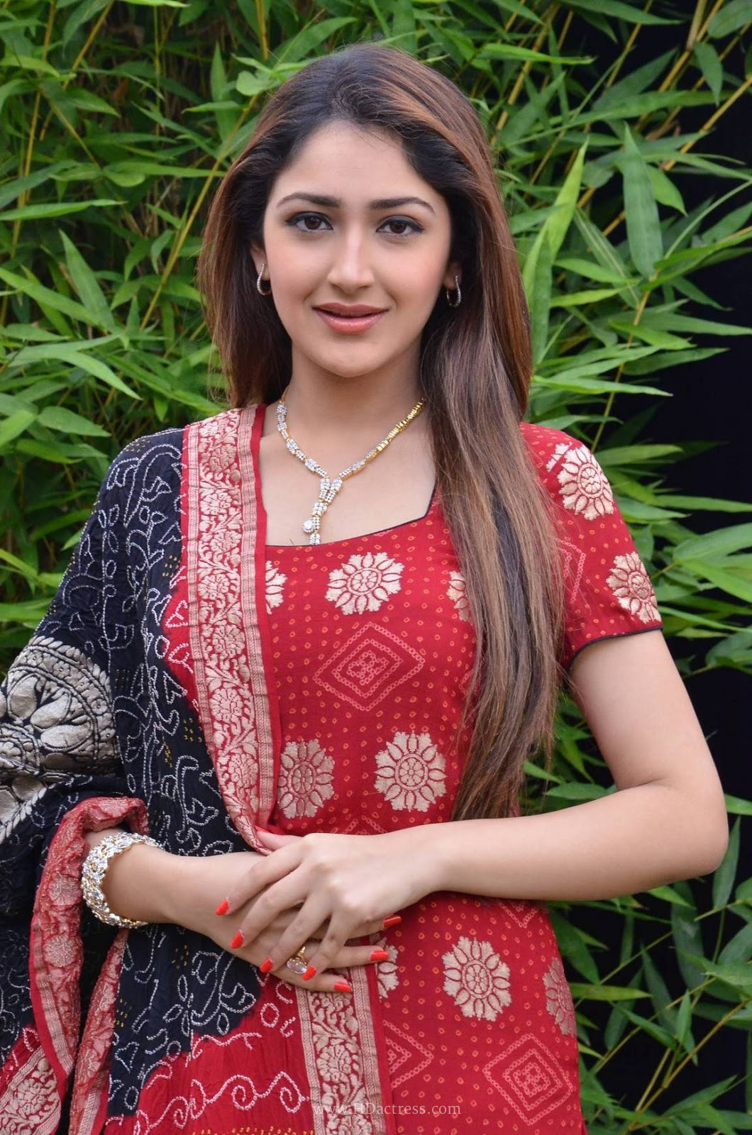 Sayesha Saigal Actress stills gallery