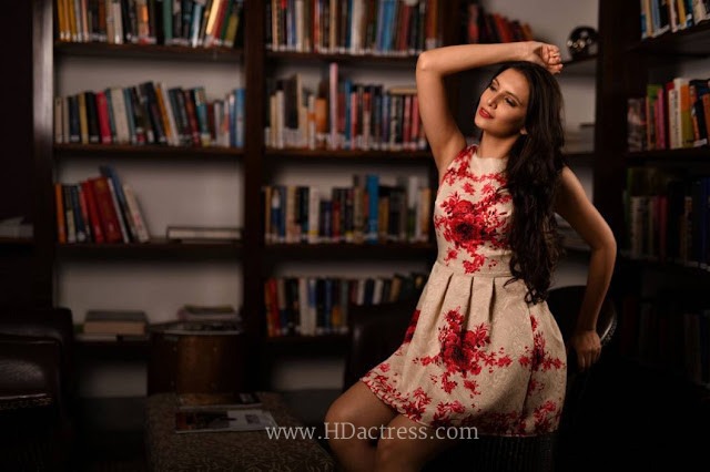 Lekha Prajapati Photoshoot Stills 0