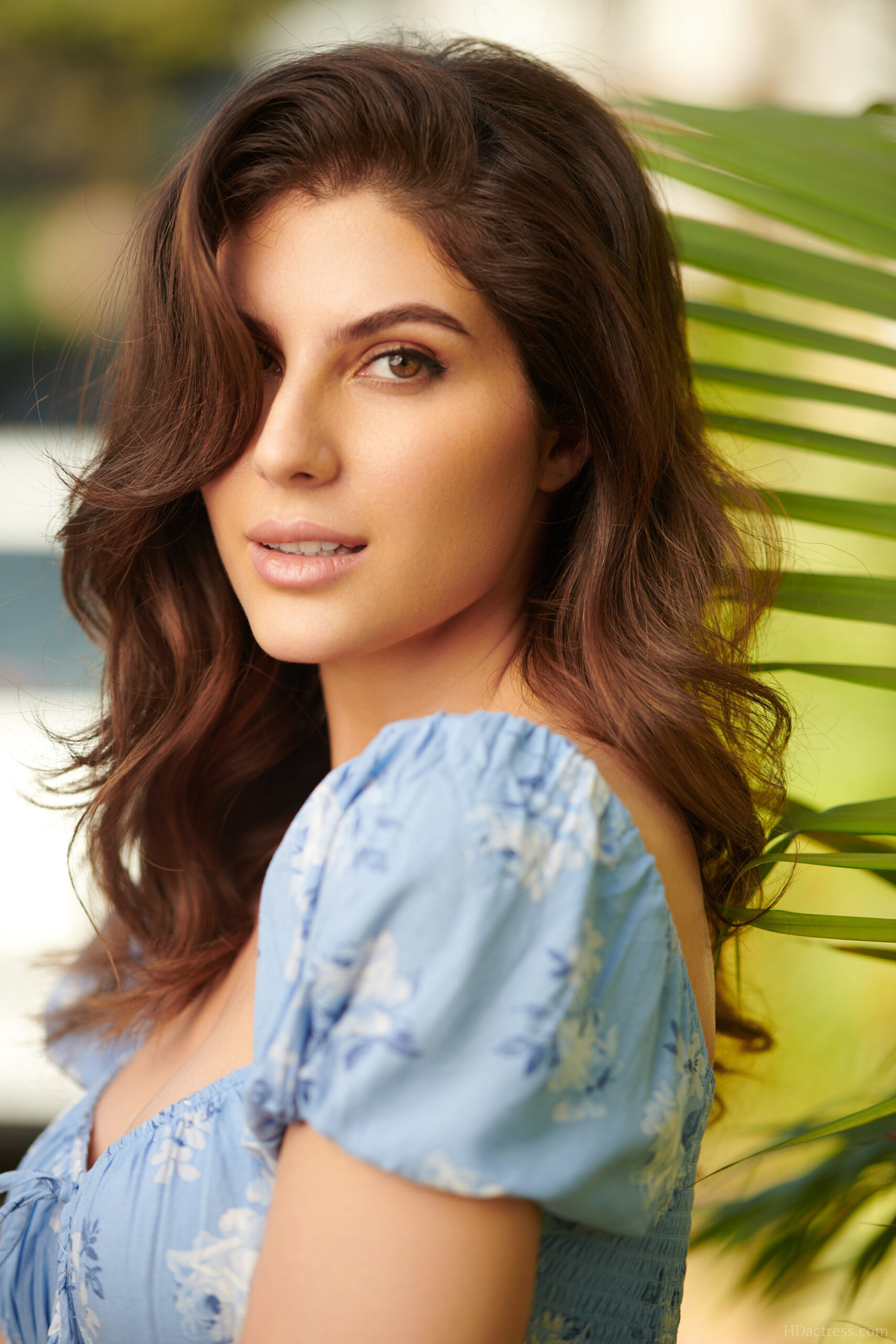 Actress Elnaaz Norouzi [2000×3000] UHD Photos 4k Wallpapers (NoWatermarks)