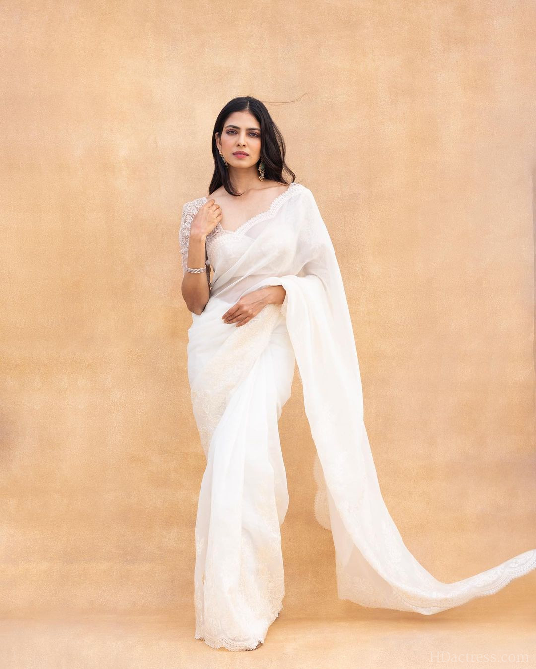 Malavika Mohanan Wearing White Saree Designer Blouse | HDactress.com