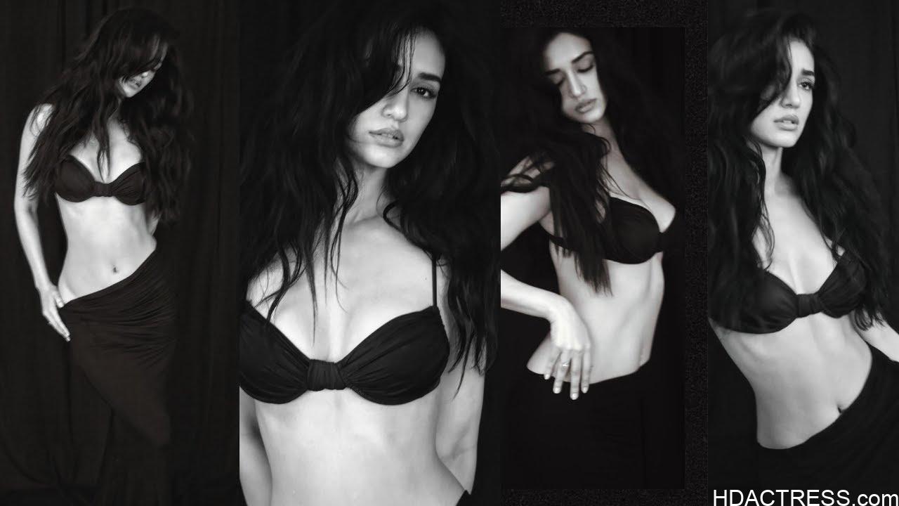 Disha Patani bikini Disha Patani photoshoot Bollywood actress bikini pics Disha Patani black bikini Disha Patani viral pics Disha Patani beach look Bollywood bikini photoshoot