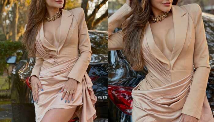 Ashu Reddy silicon bust show