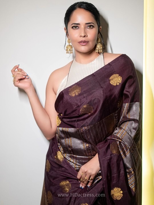 Anasuya bharadwaj dazzles in a stunning wine silk saree and halter blouse.. - Image 19 Anasuya bharadwaj dazzles in a stunning wine silk saree and halter blouse.. - Image 19