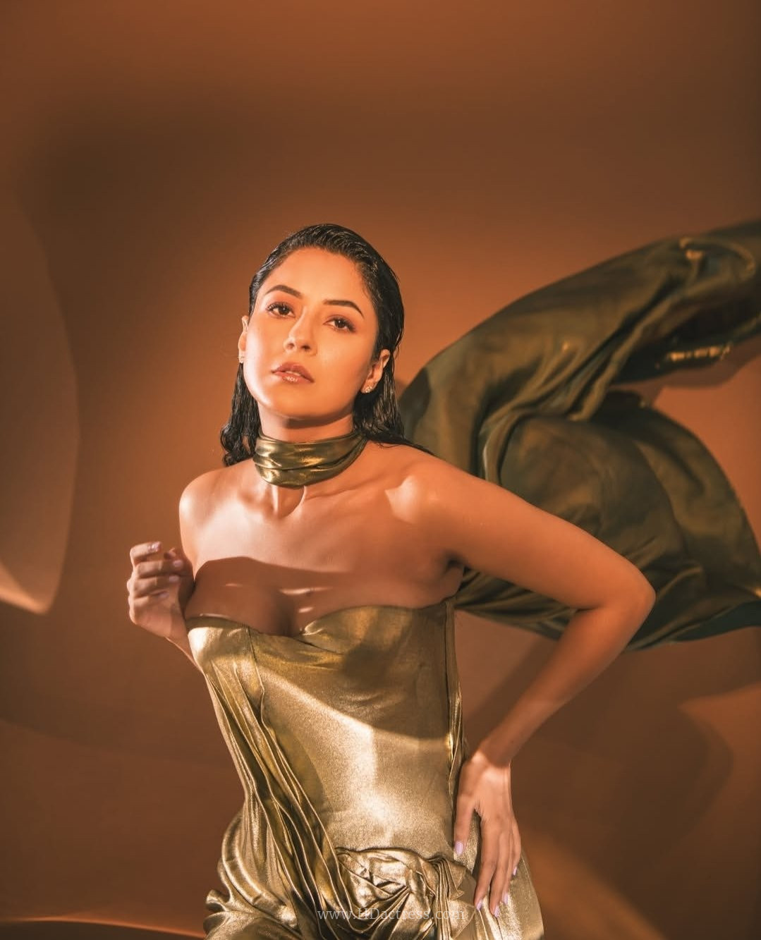Shehnaaz Gill hot photos, golden strapless gown, bold celebrity fashion, Shehnaaz Gill viral pics, Bollywood actress style, metallic gold dress