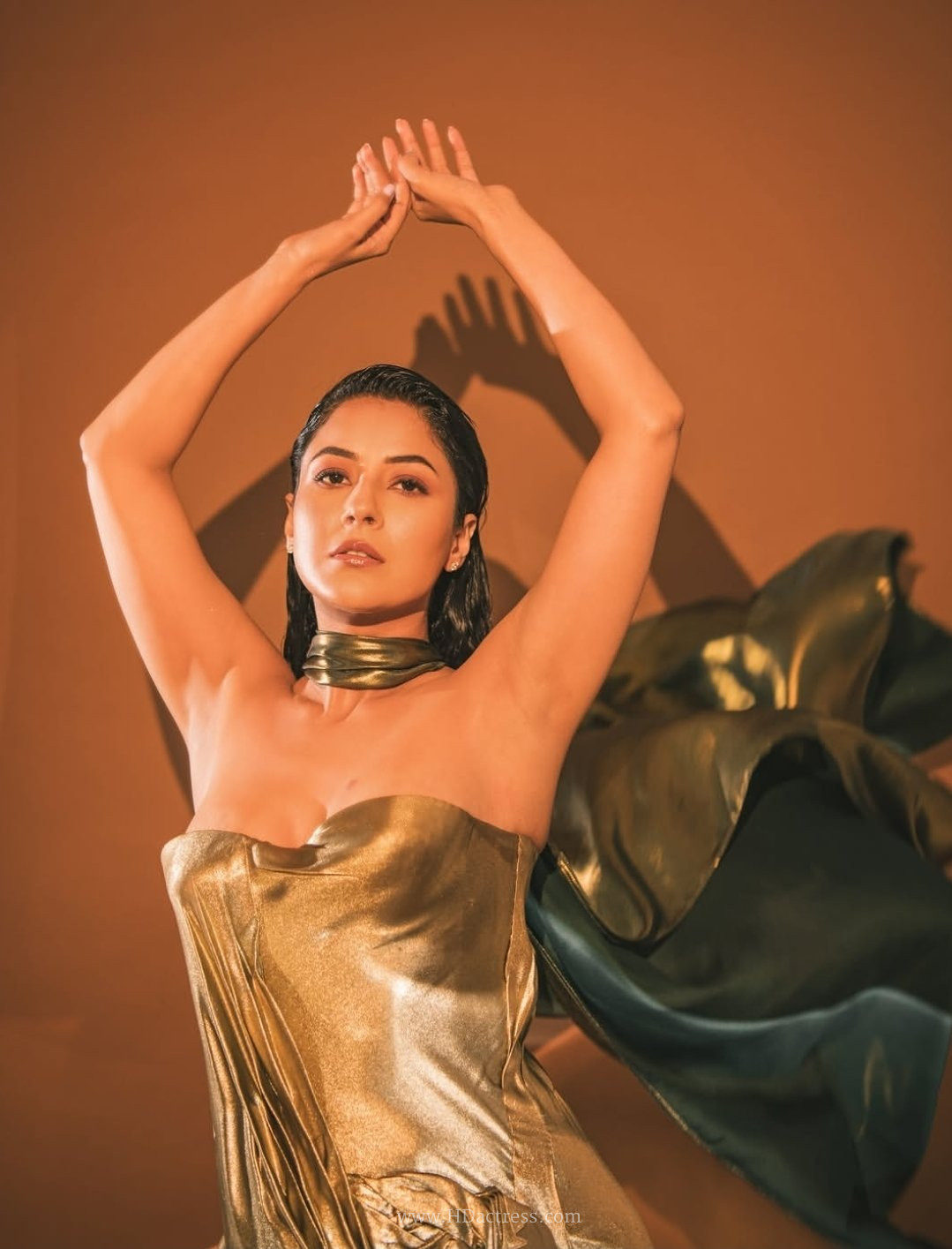 Shehnaaz Gill flaunts her toned physique in a metallic golden strapless gown with wet-look hair styling.