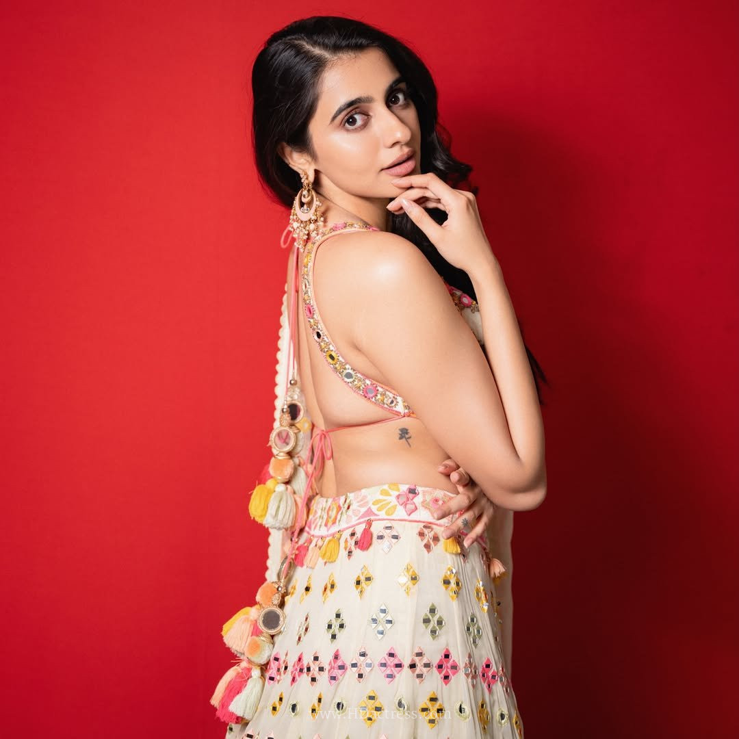 Maanasa Choudhary flaunting her gorgeous curves in a daring deep cut backless blouse look