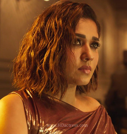 Did You Catch This? Nayanthara Sparks Tabaahi in Sensational Toxic Music Video Photos!