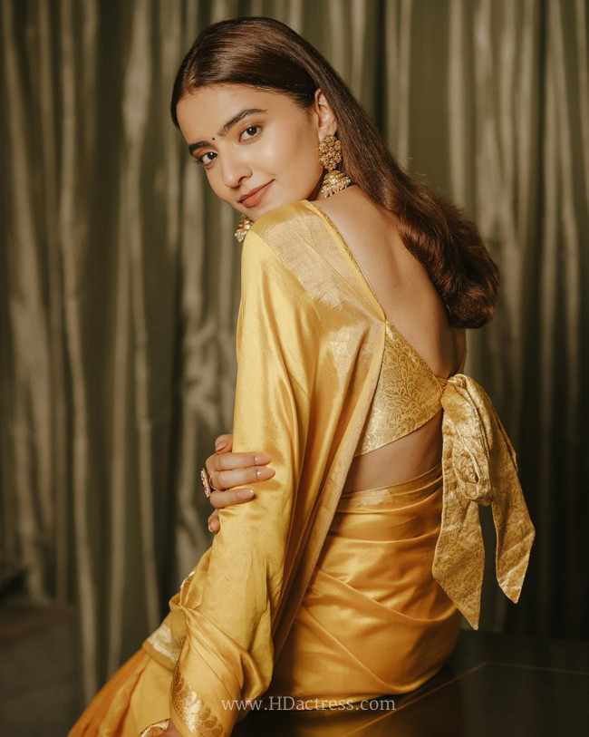 Rukshar Dhillon in mustard yellow Banarasi saree Rukshar Dhillon in mustard yellow Banarasi saree