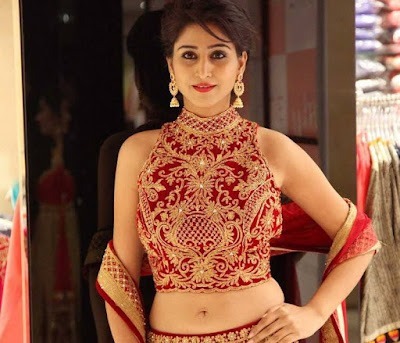 Shamili Navel Show Pics