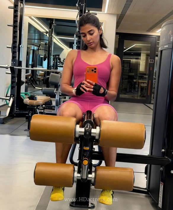 Viral Photos: Pooja Hegde Shows Off Toned Figure in Pink Bodysuit