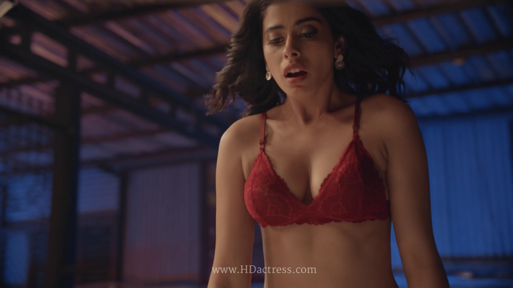 Anisha Victor lingerie photos, sexy Anisha Victor poses, romantic web series looks, elegant lace lingerie, bold bedroom style, Anisha Victor hot photoshoot