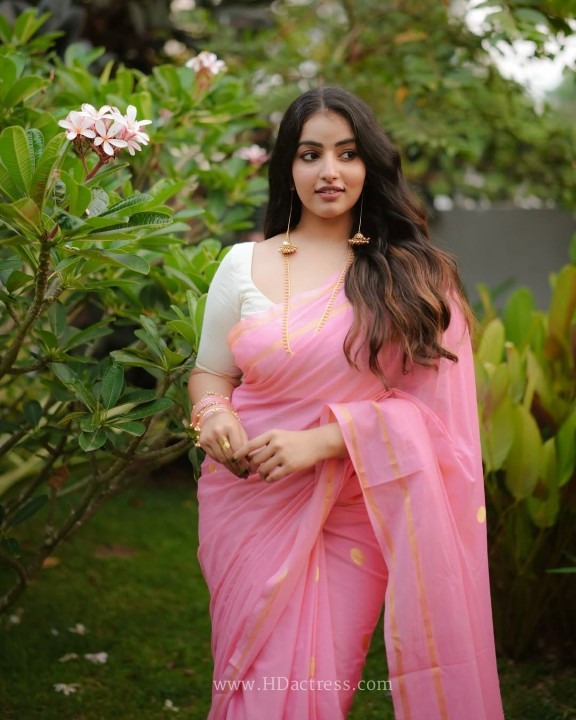 Malavika Menon Steals Heart In Rose Saree & white Blouse - Image 3 Malavika Menon Steals Heart In Rose Saree & white Blouse - Image 3