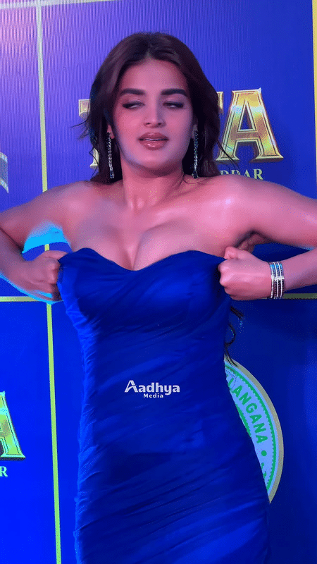 Nidhhi Agerwal body measurements 34-26-34, bra size 32C.