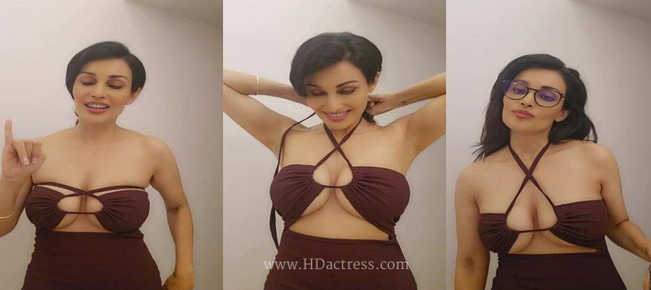 Flora Saini New Live Session & Curvy Bikini Photos Leave Fans Speechless