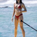 Margaret Qualley Recent Trending Photo Highlights